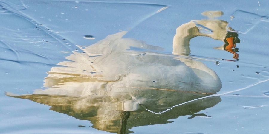 Self-Awareness Is Your Secret Weapon In Entrepreneurship